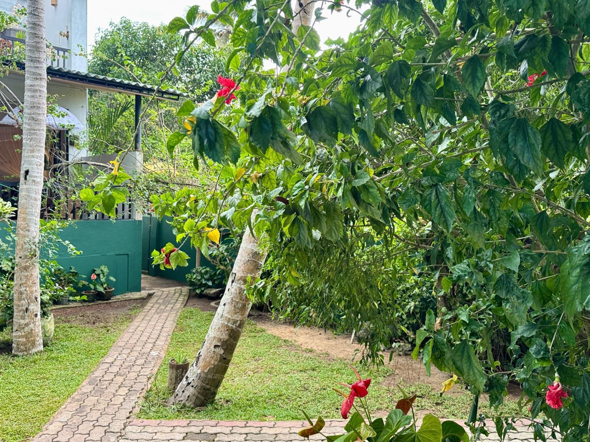 Swastha Ayurveda Villa Hikkaduwa Εξωτερικό φωτογραφία